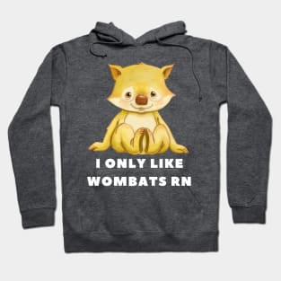 I Only Like Wombats Right Now Hoodie